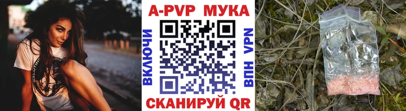 A PVP СК  OMG ССЫЛКА  Заозёрный 