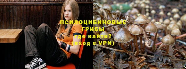 тгк Майский